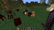 Frogs eating magma cubes and dropping a green variant of the light block (Image via Mojang)